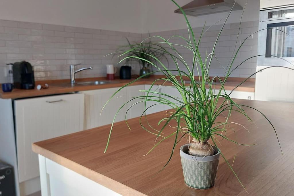 Ferienwohnung Stern Unterthingau Luaran gambar